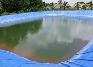 Pond-Liner